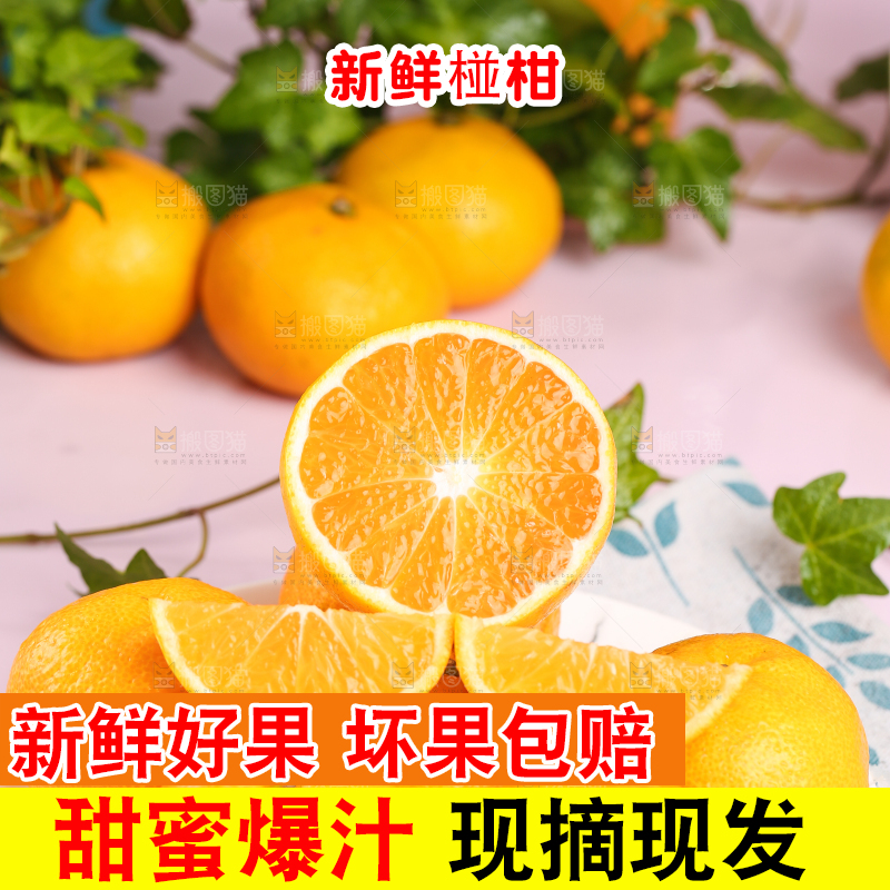 碟子里装着椪柑橘