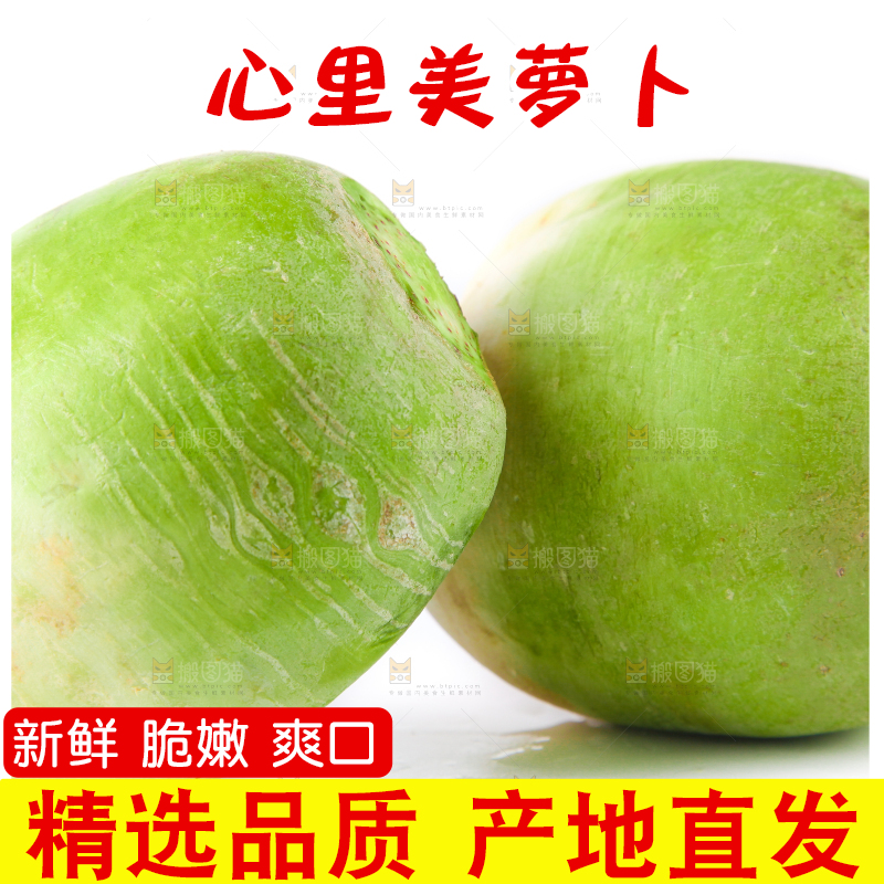 白底上的心里美萝卜