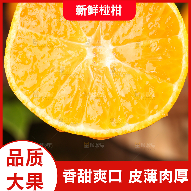 手里拿着芦柑