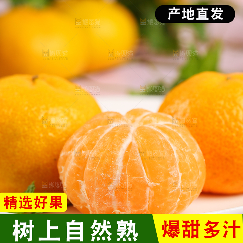 盘子里摆放着椪柑橘