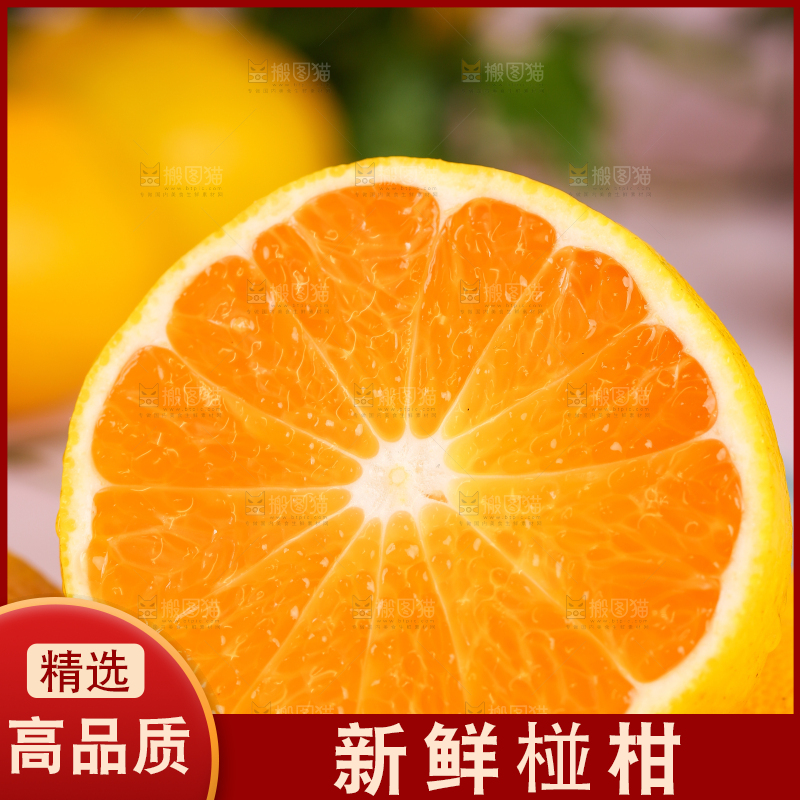 碟子里装着椪柑橘