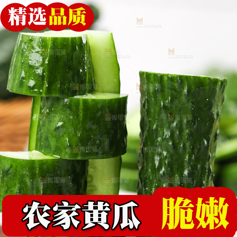 木底上堆放着新鲜黄瓜