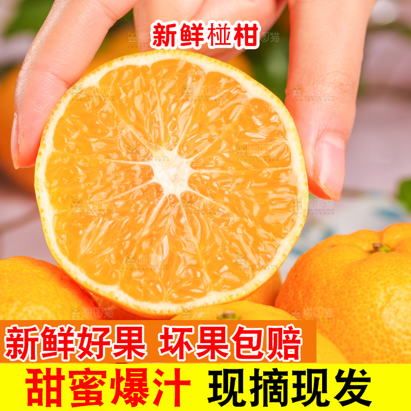 手里拿着芦柑