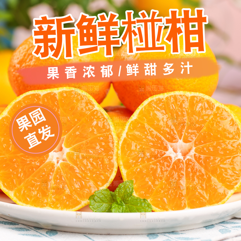 浅底上摆放着椪柑橘
