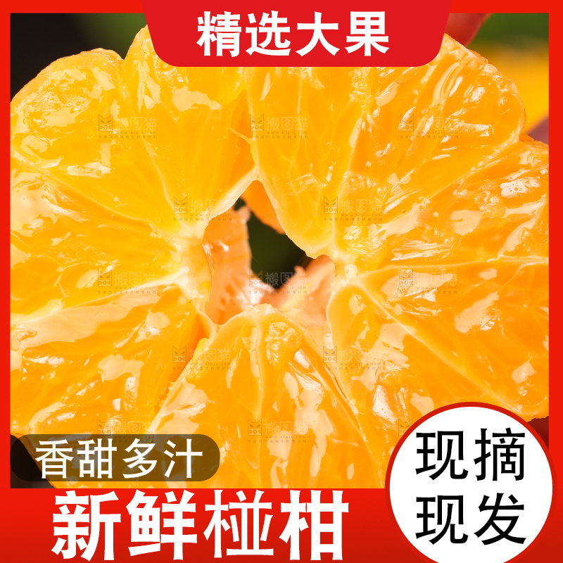 手里拿着芦柑