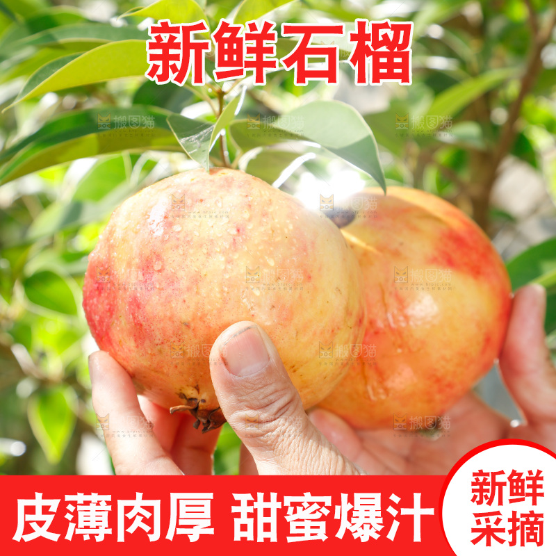 手里拿着红石榴