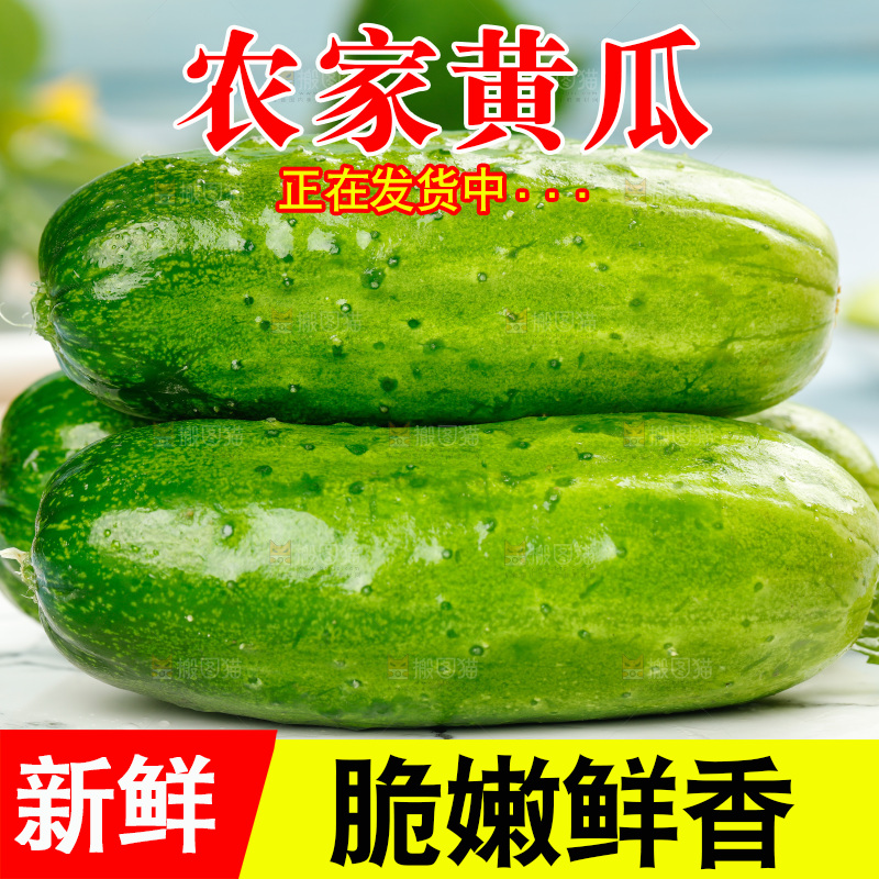 碟子里放着黄瓜