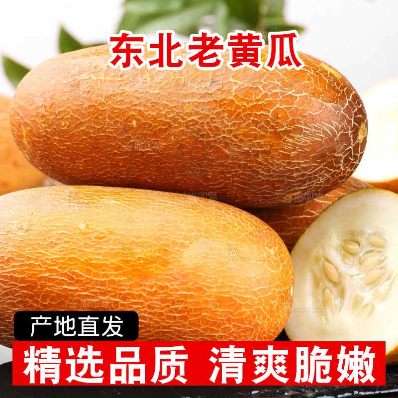 深底上摆放着老黄瓜
