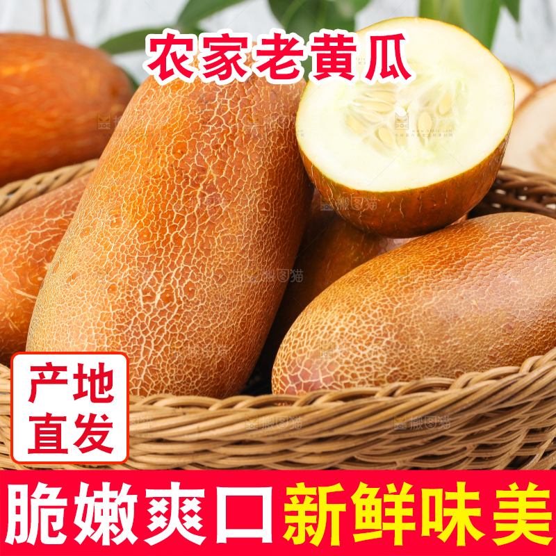 篮子里装着黄皮黄瓜