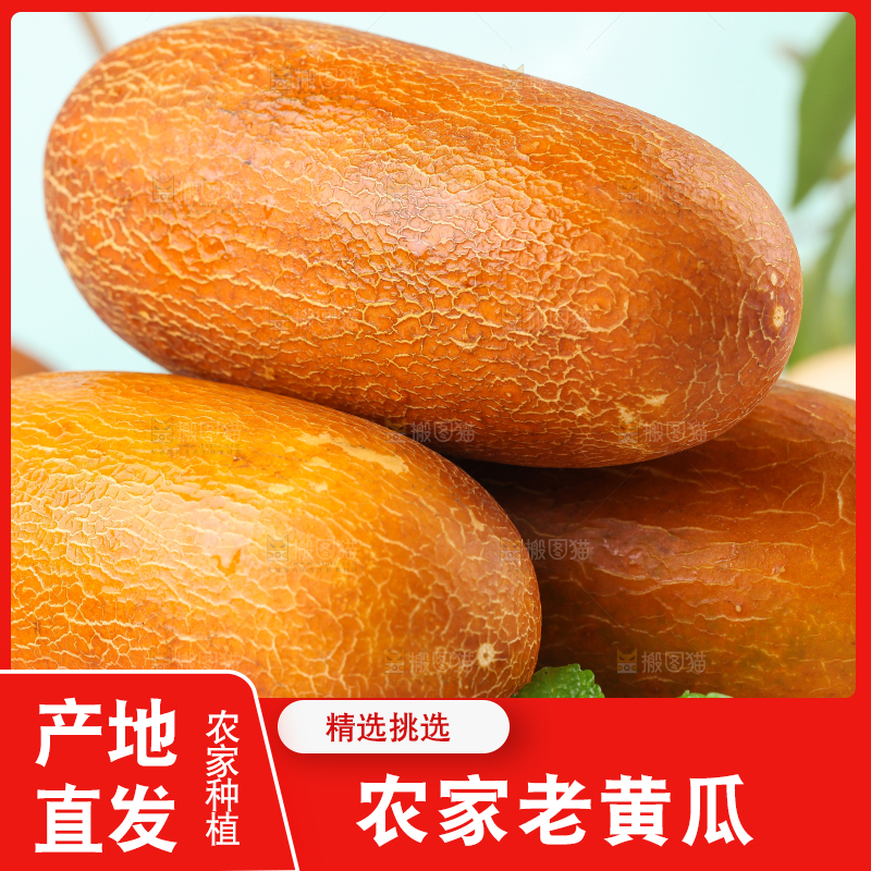 盘子里装着老黄瓜