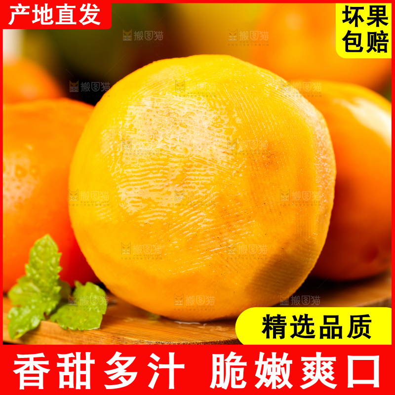 木底上摆放着脆柿
