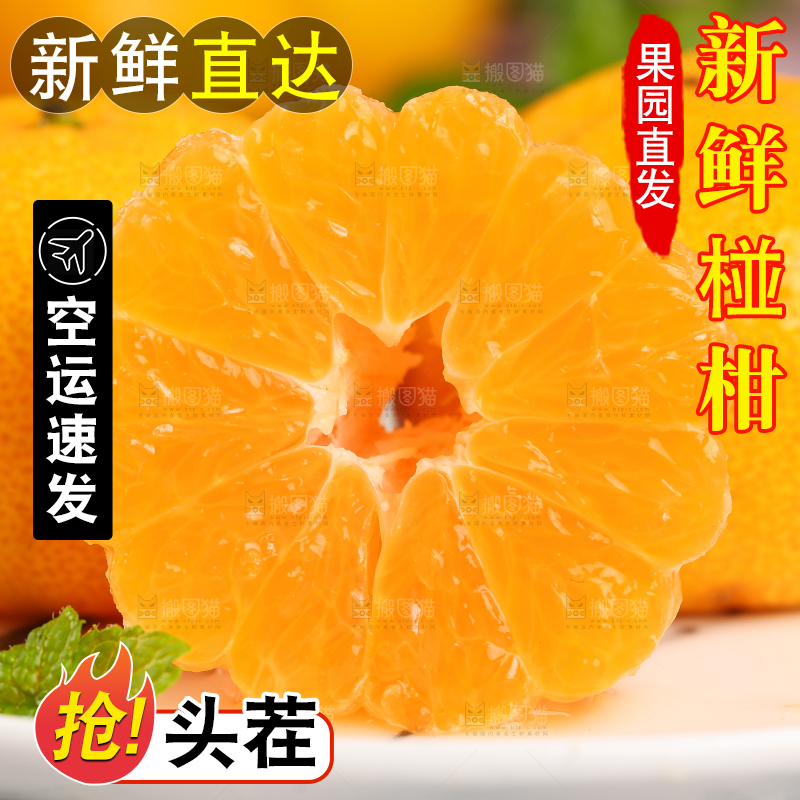 碟子里装着椪柑橘
