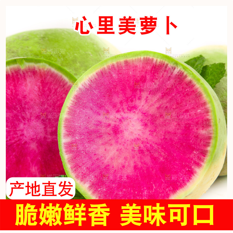 白底上的心里美萝卜