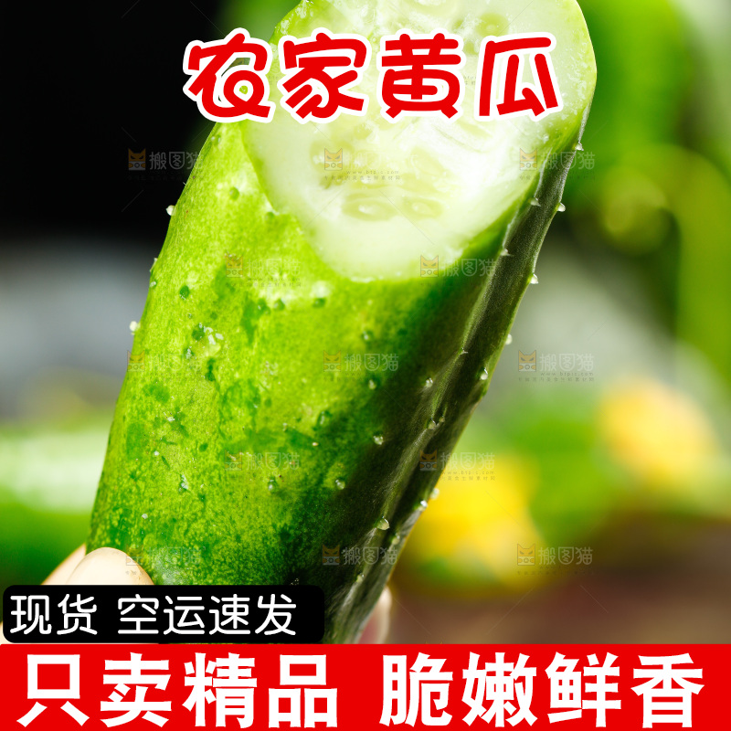 手里拿着小青瓜