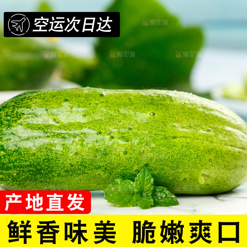 碟子里放着黄瓜