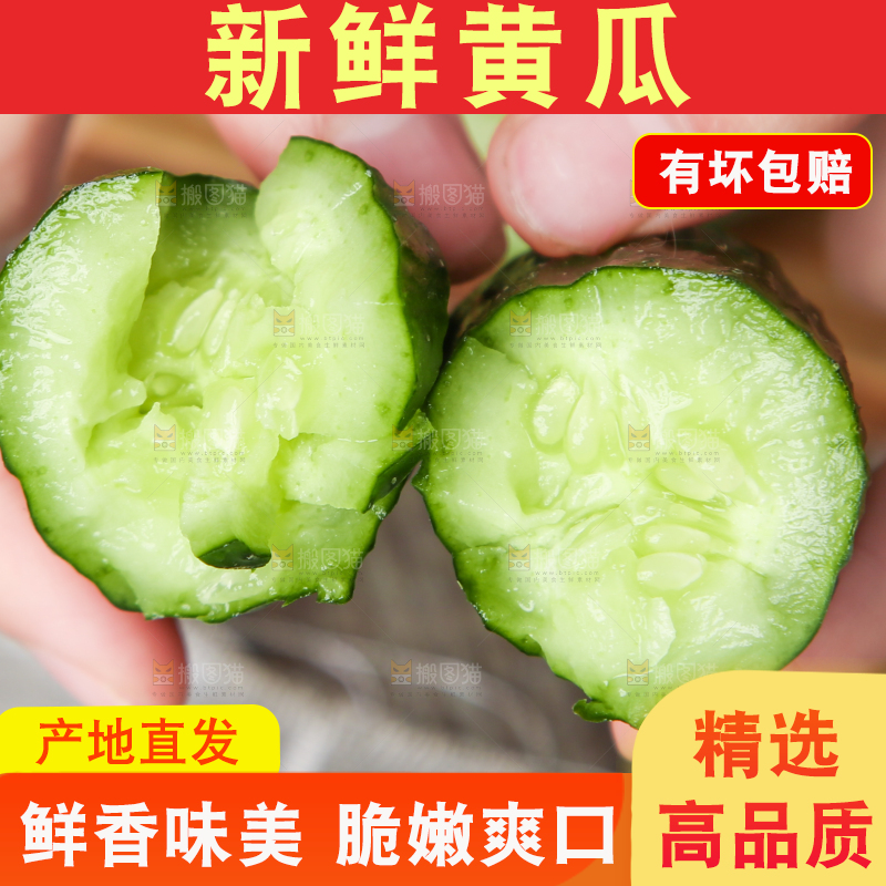 手里拿着黄瓜