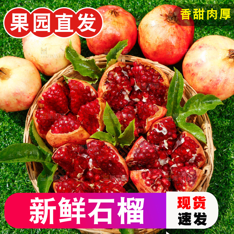 绿地上堆放着石榴