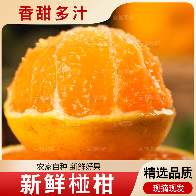 木底上摆放着椪柑