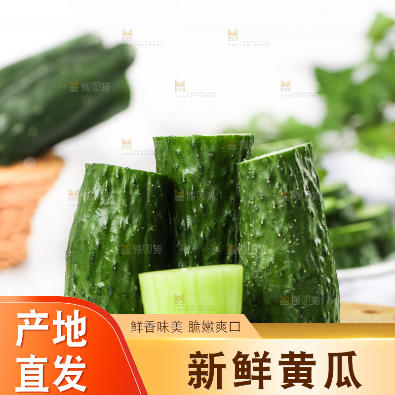 木底上堆放着新鲜黄瓜