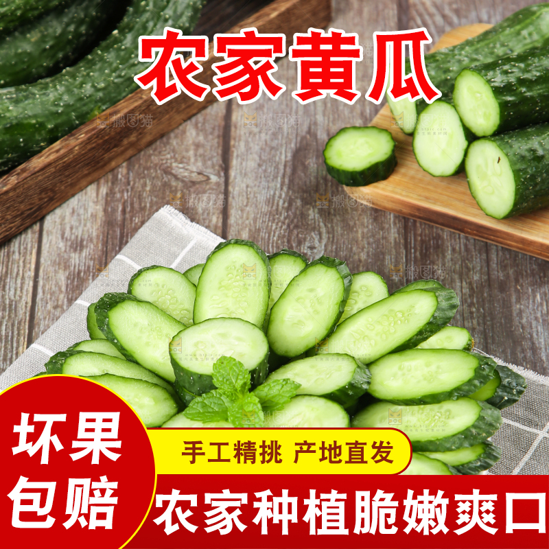 格子底上摆放着黄瓜