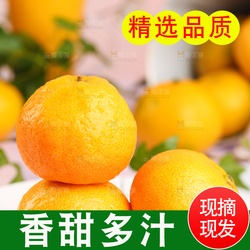 盘子里摆放着椪柑橘