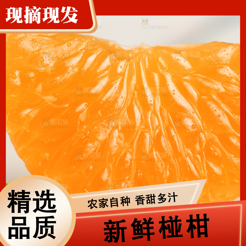 浅底上摆放着椪柑