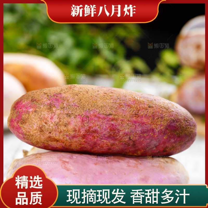 白底上摆放着八月瓜