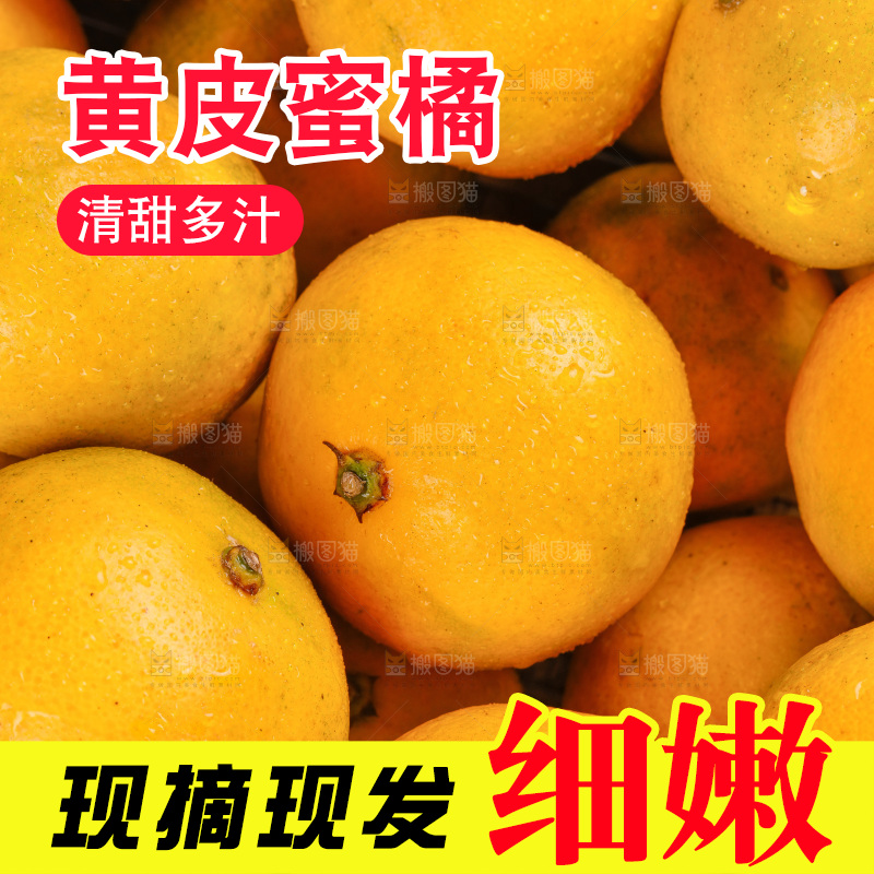 堆放着黄皮蜜橘