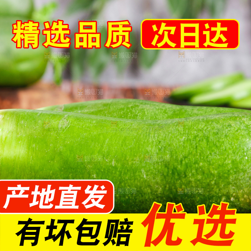 深底上摆放着绿皮萝卜