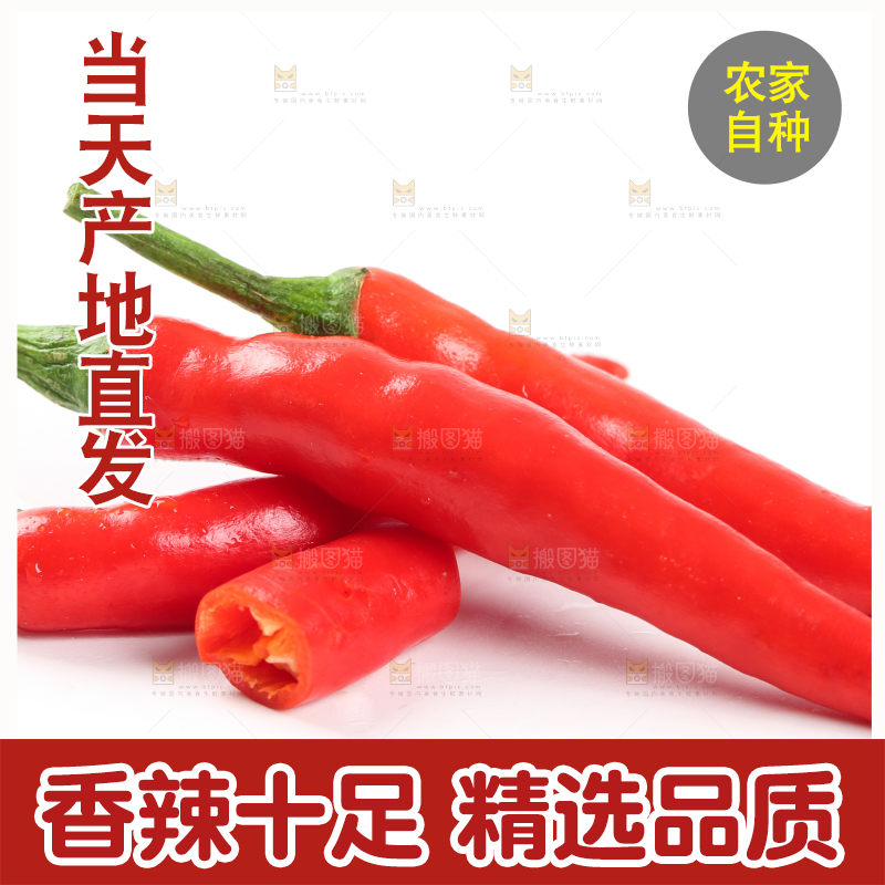 白底上摆放着红辣椒