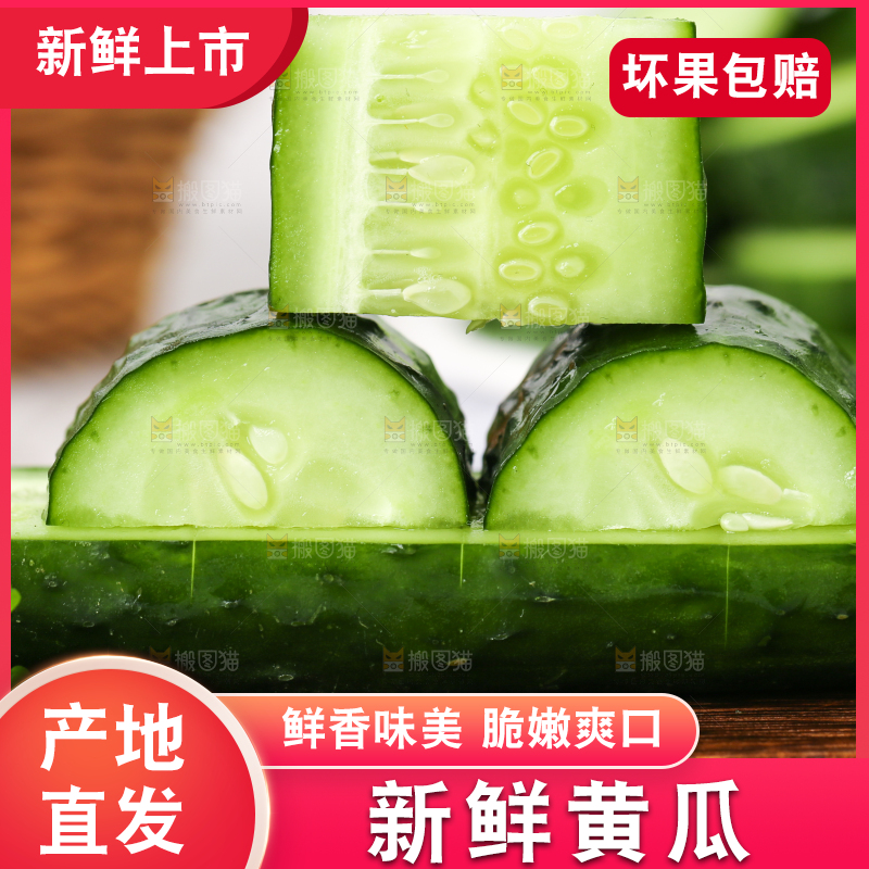 木底上堆放着新鲜黄瓜