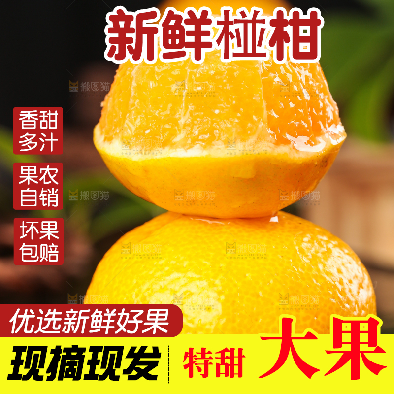 黑底上摆放着椪柑