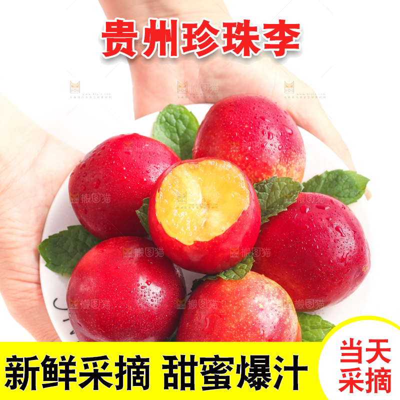 手端一盘珍珠李