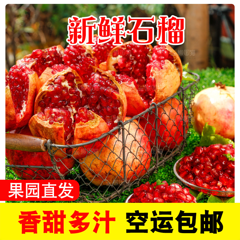 绿地上摆放着石榴