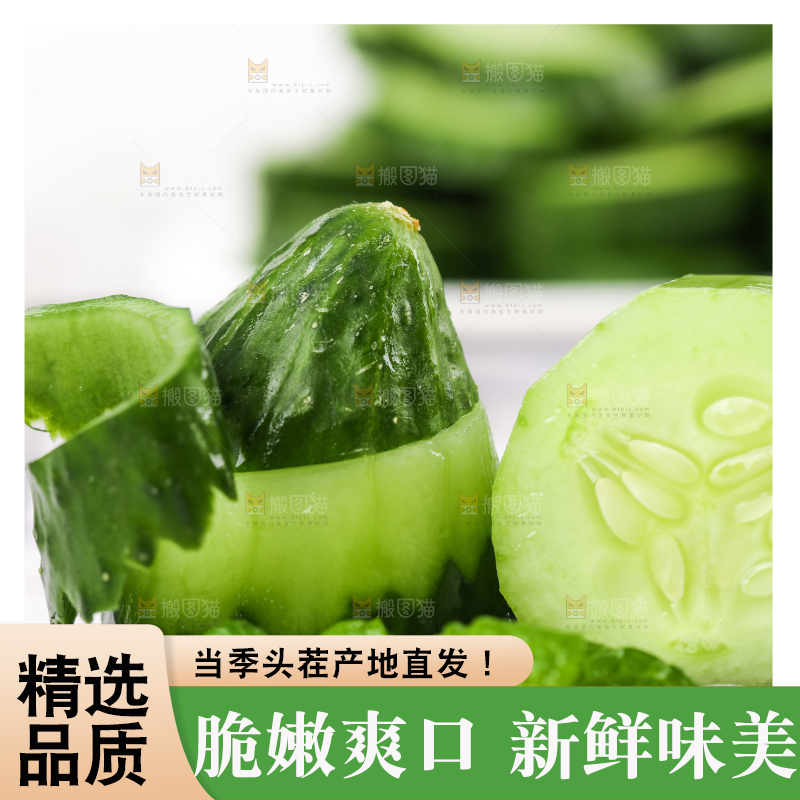 黑底上放着黄瓜