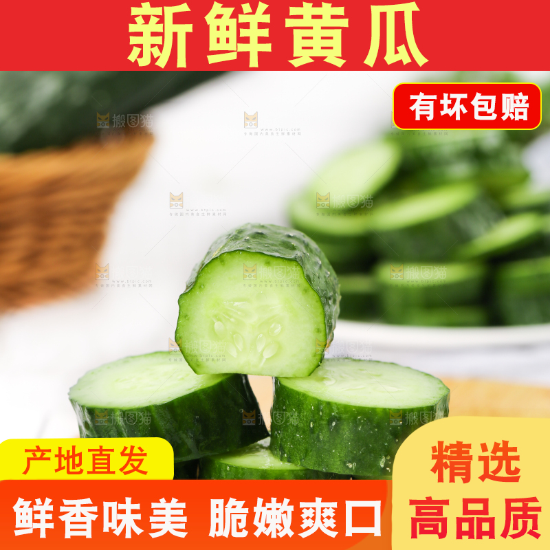 木底上堆放着新鲜黄瓜
