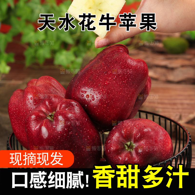 手里捧着红蛇果