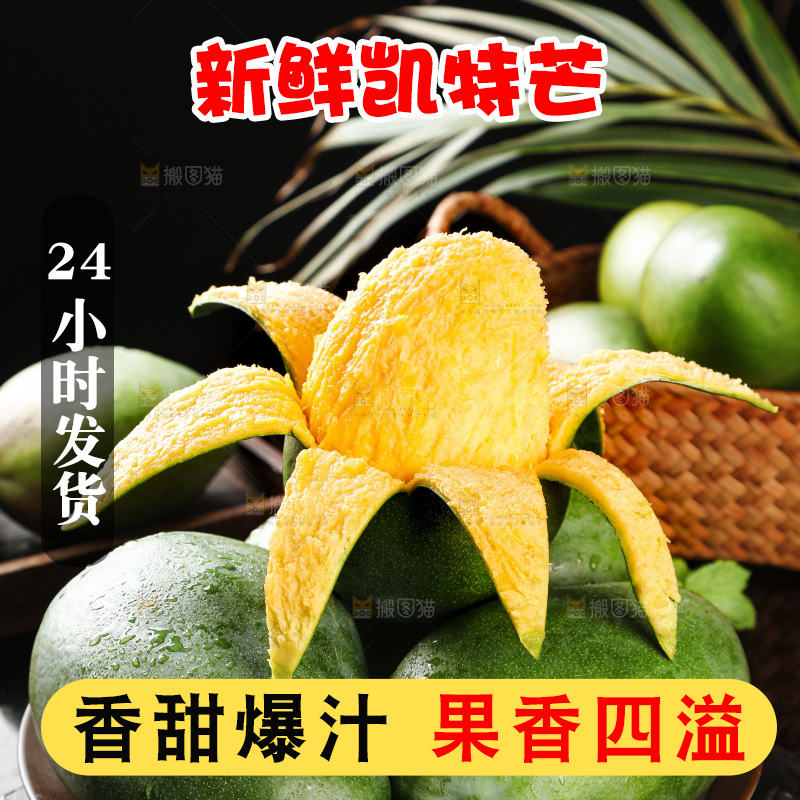 凯特芒主图