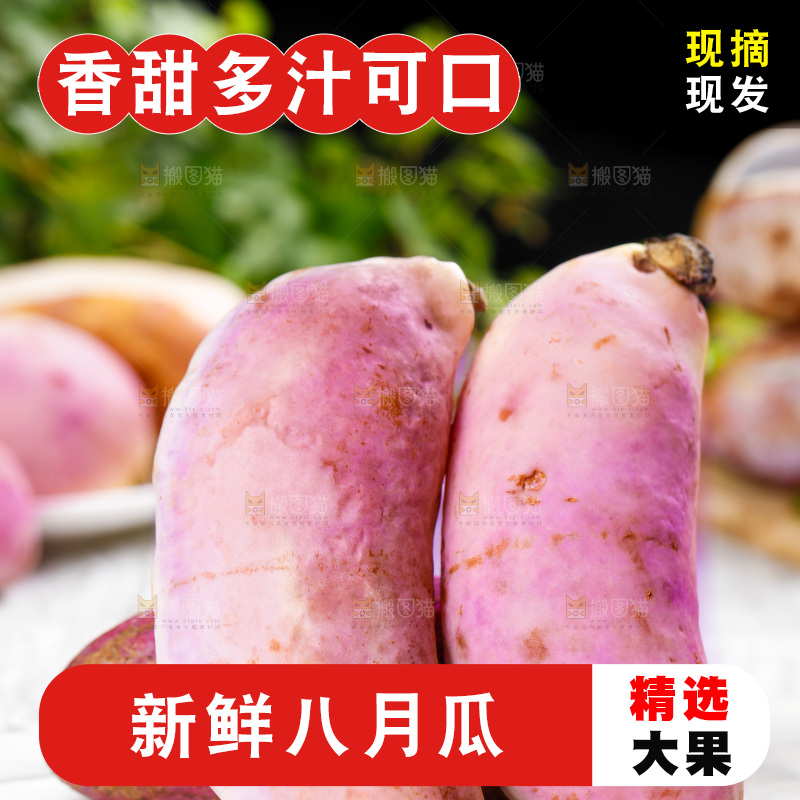 白底上摆放着八月瓜