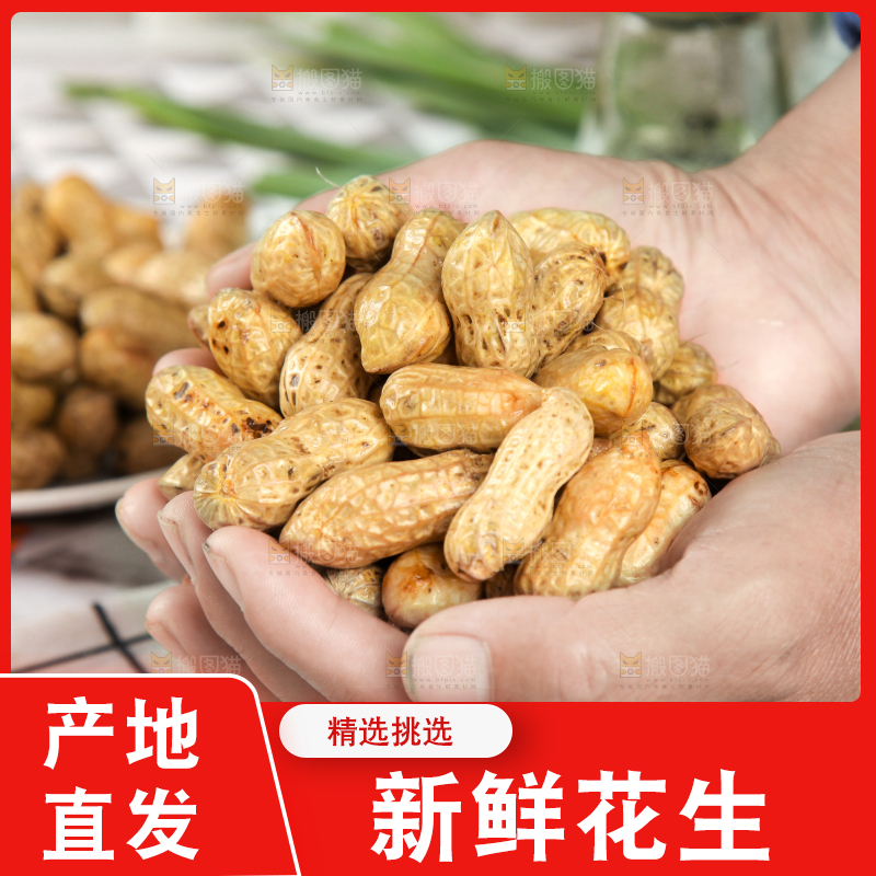 手里捧着新鲜花生