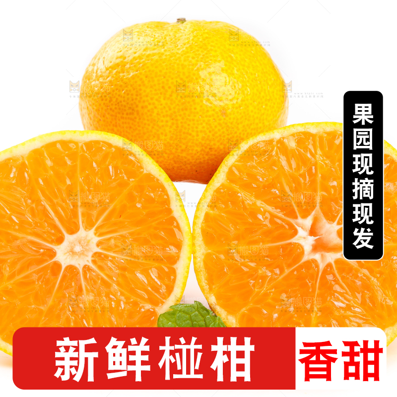 白底上摆放着椪柑橘