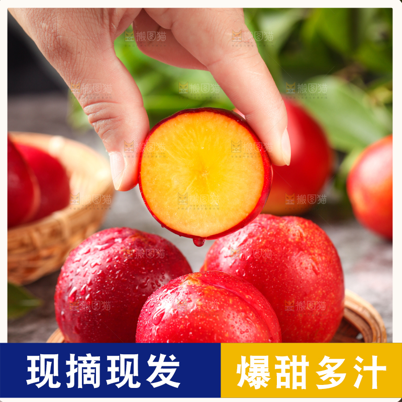 手拿切开的珍珠李