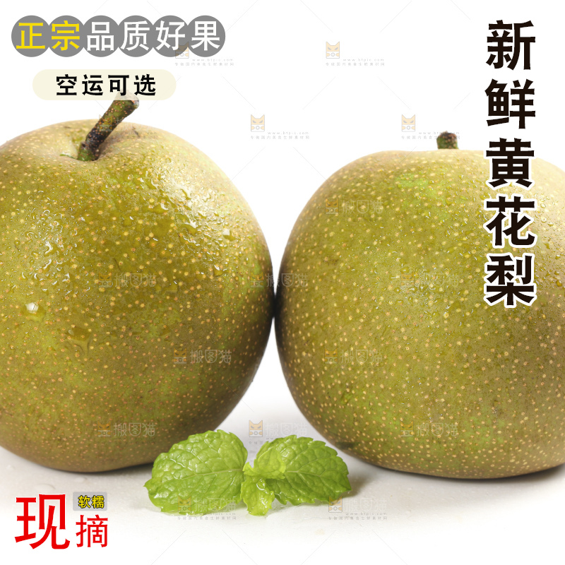 白底上的黄花梨