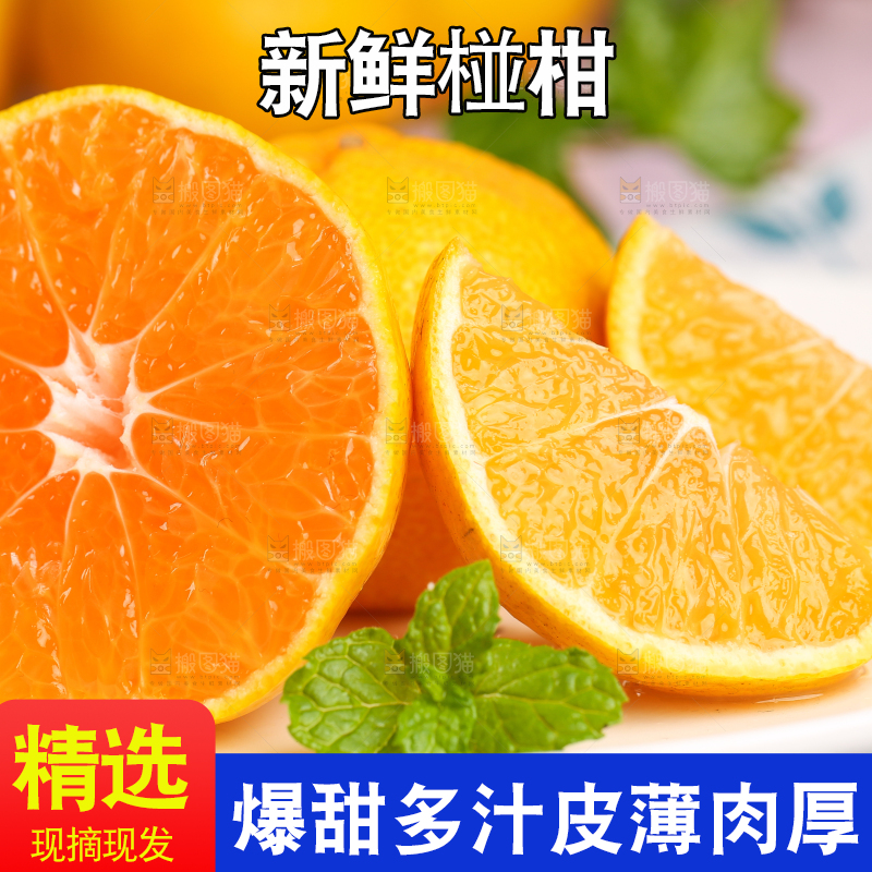 碟子里装着椪柑橘