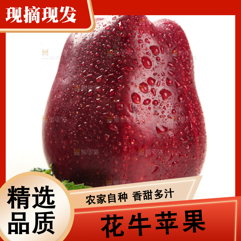 白底上摆放着花牛苹果