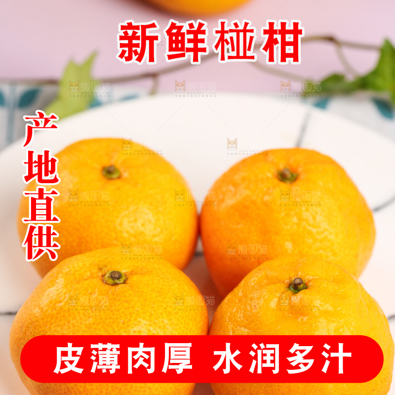 盘子里摆放着椪柑橘
