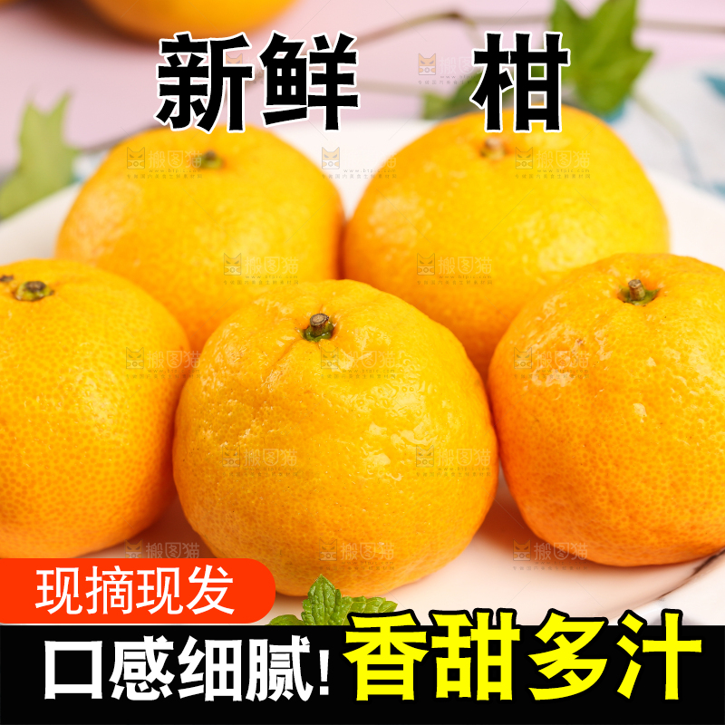 盘子里摆放着椪柑橘