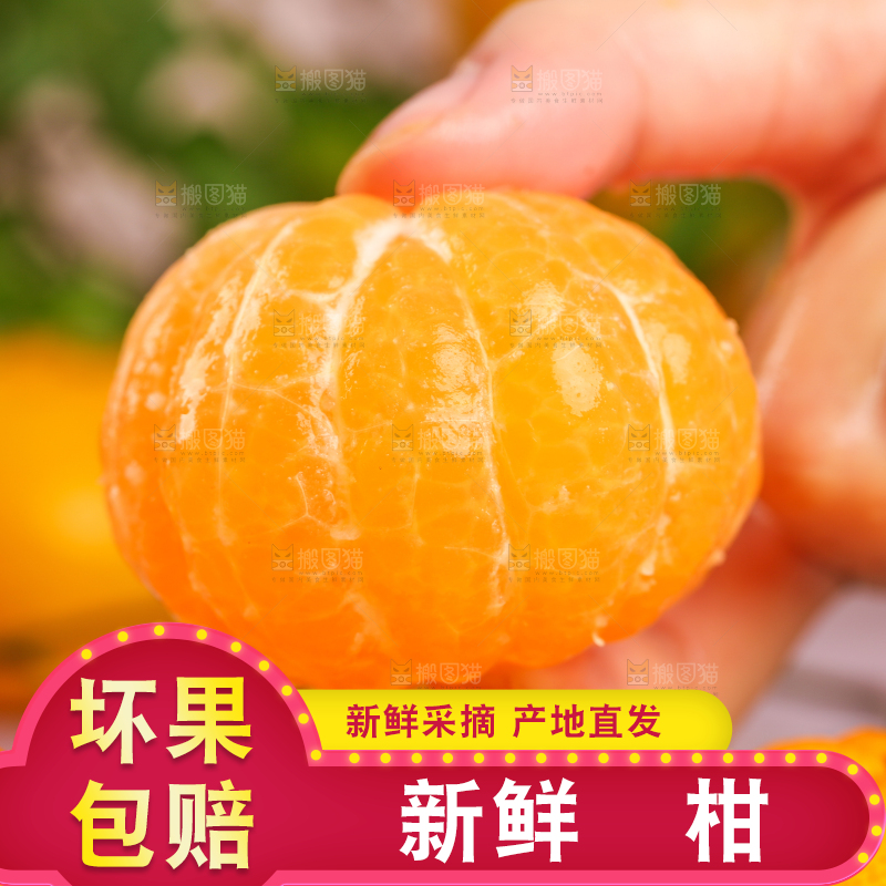 手里拿着芦柑