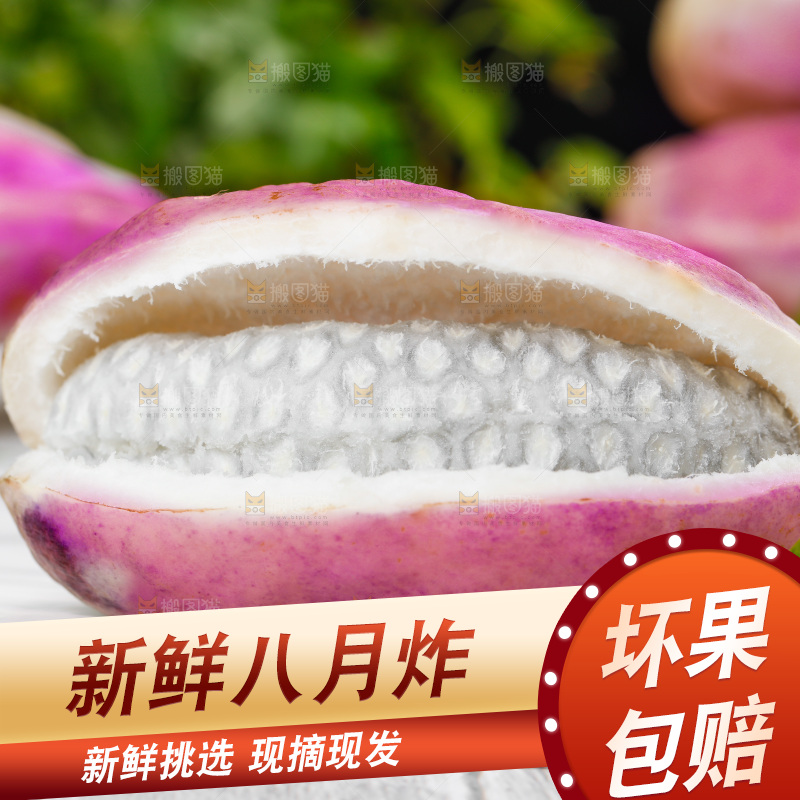 白底上摆放着八月瓜