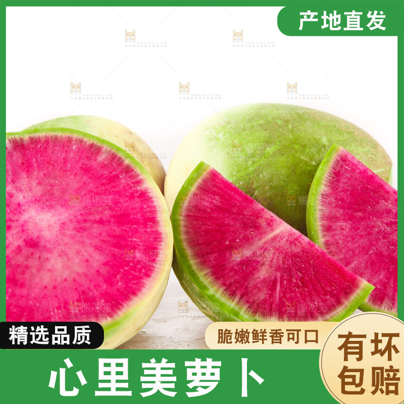白底上的心里美萝卜
